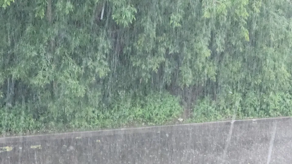 Фото: Наталия Надточая