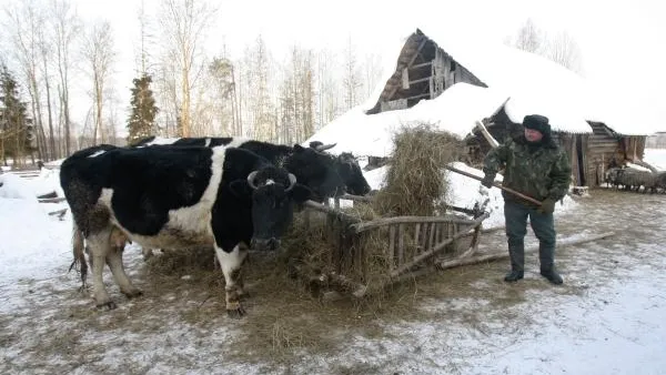 В Курганской области будут судить фермера, купившего шпионскую технику