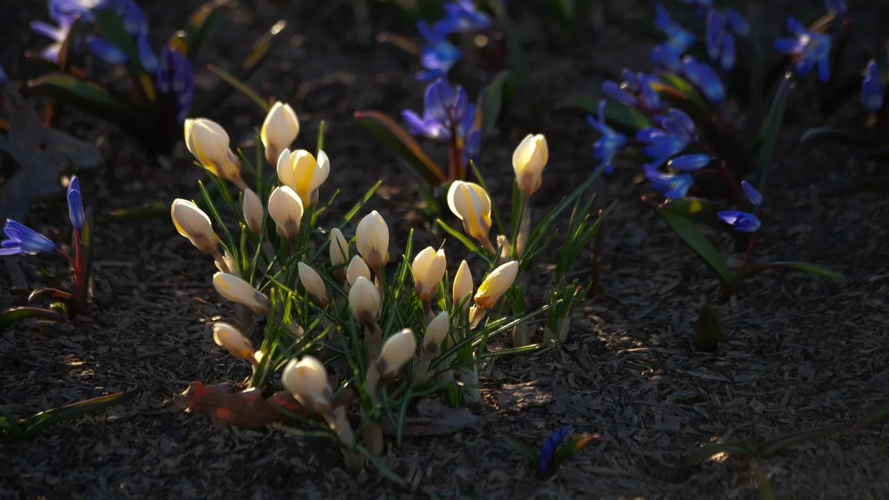 медиасток.рф