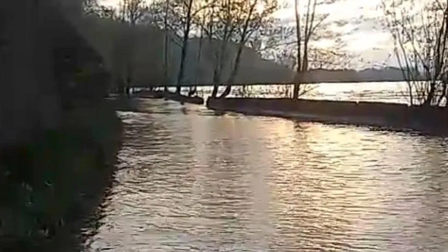 Госавтоинспекция Красноярского края