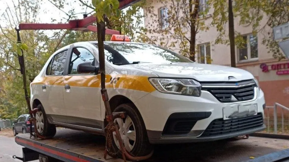 Фото: пресс-служба администрации г.о. Пушкинский