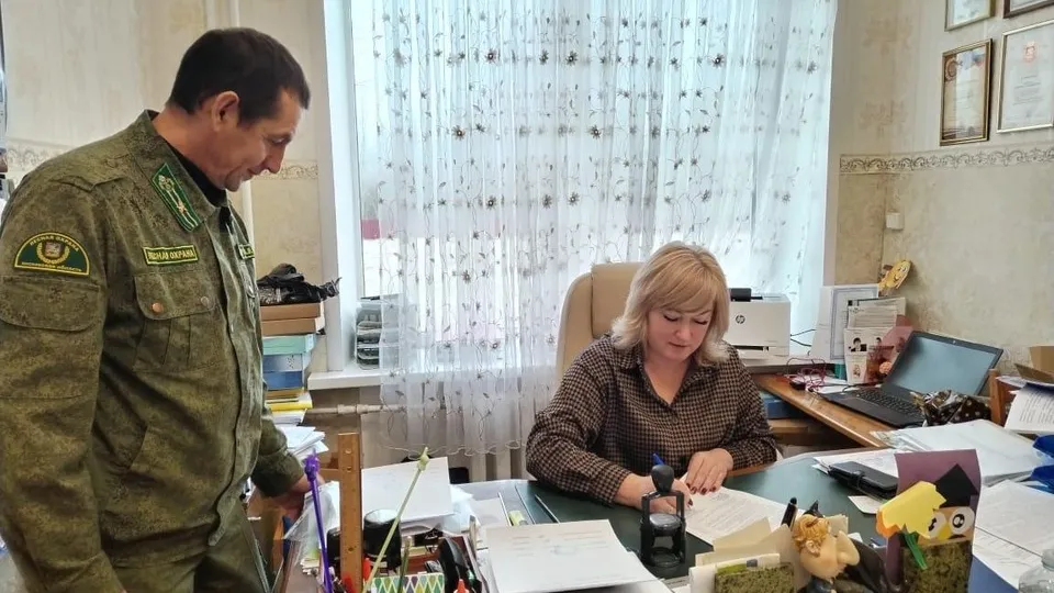 Фото: Комитет лесного хозяйства МО