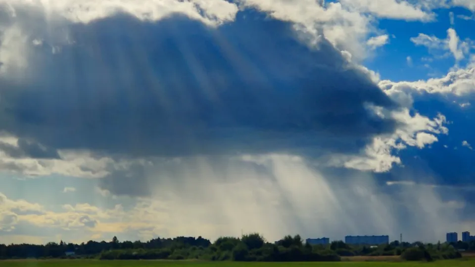 Фото: Антон Селянин