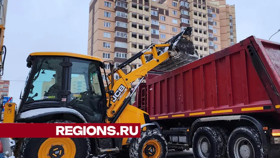 Фото: Валерия Тингаева