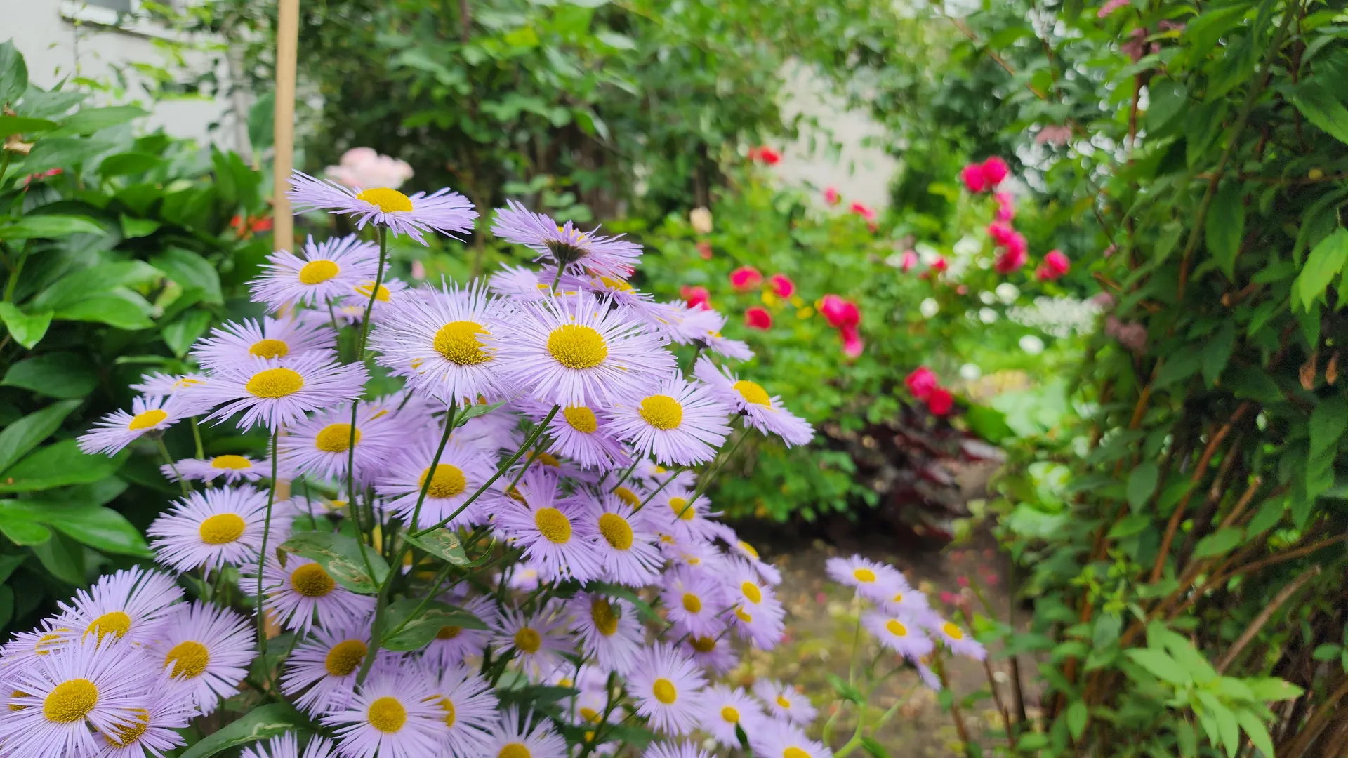 Фото: МедиаБанк Подмосковья/Наталья Дорошева