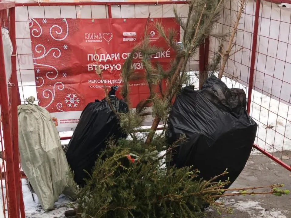 Фото: Марина Анисимова