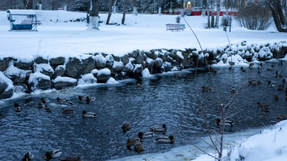 Фото: REGIONS/Роман Малышенко