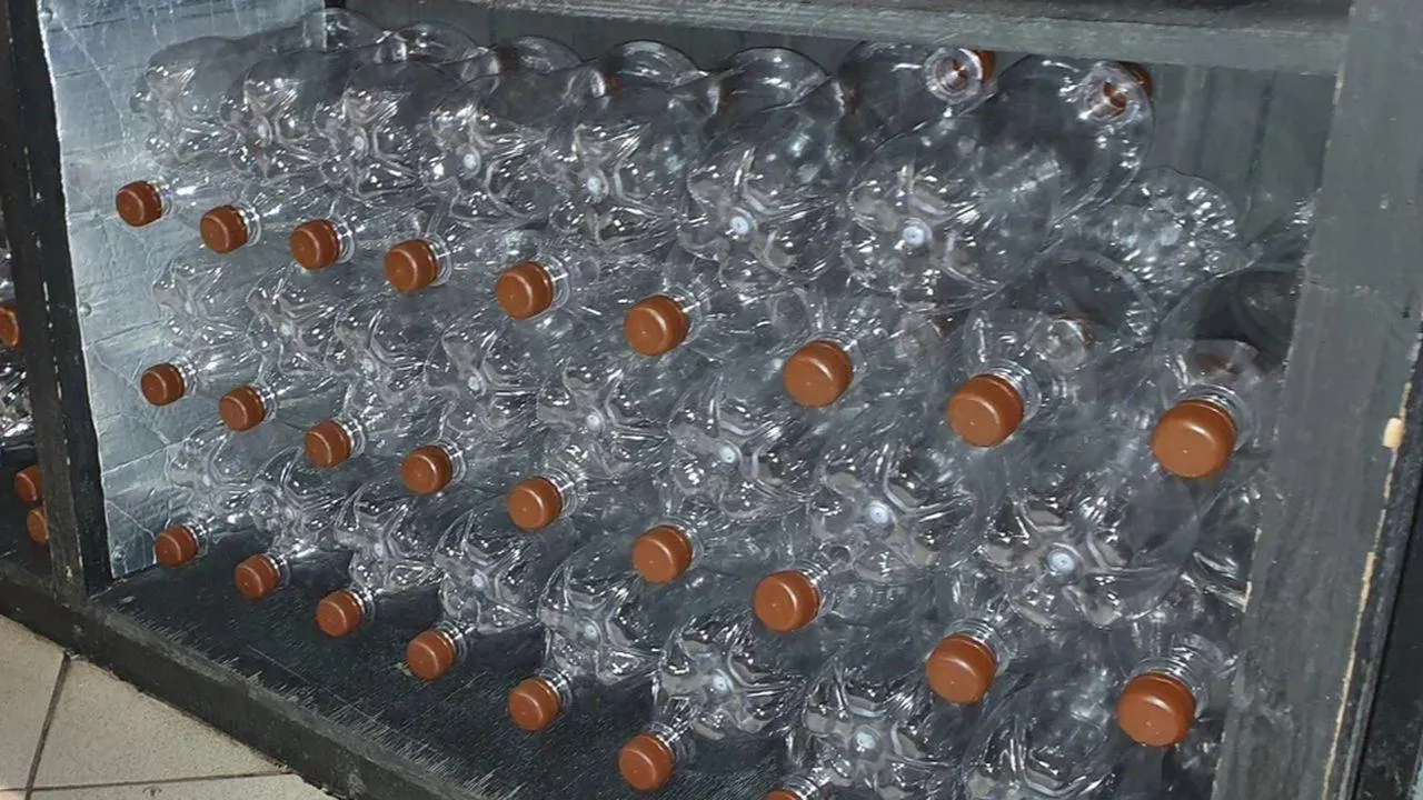 REGIONS/Наталия Надточая