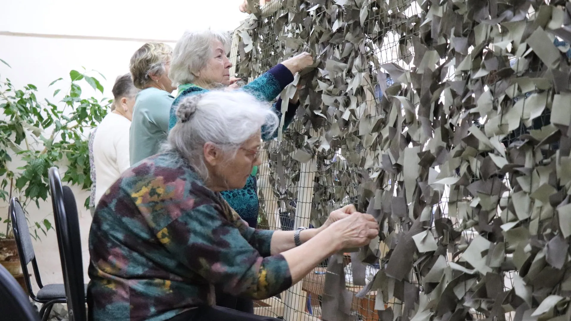 Фото: Василий Тремасов