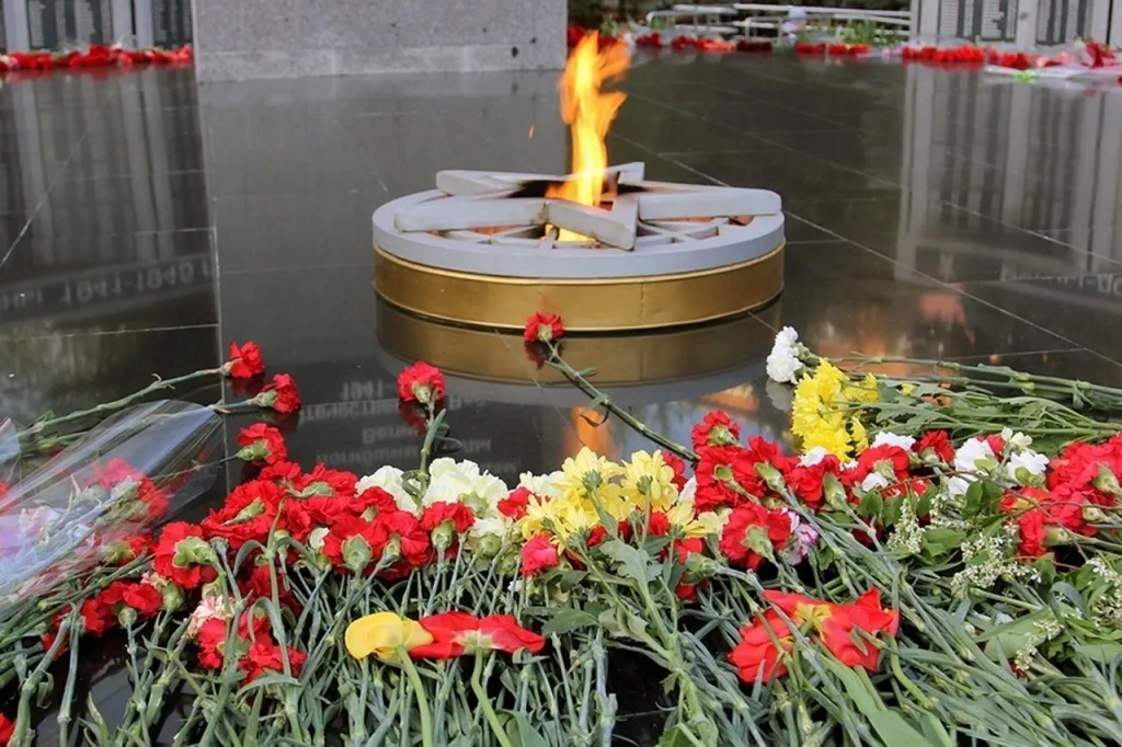 Фото: пресс-служба администрации городского округа Домодедово