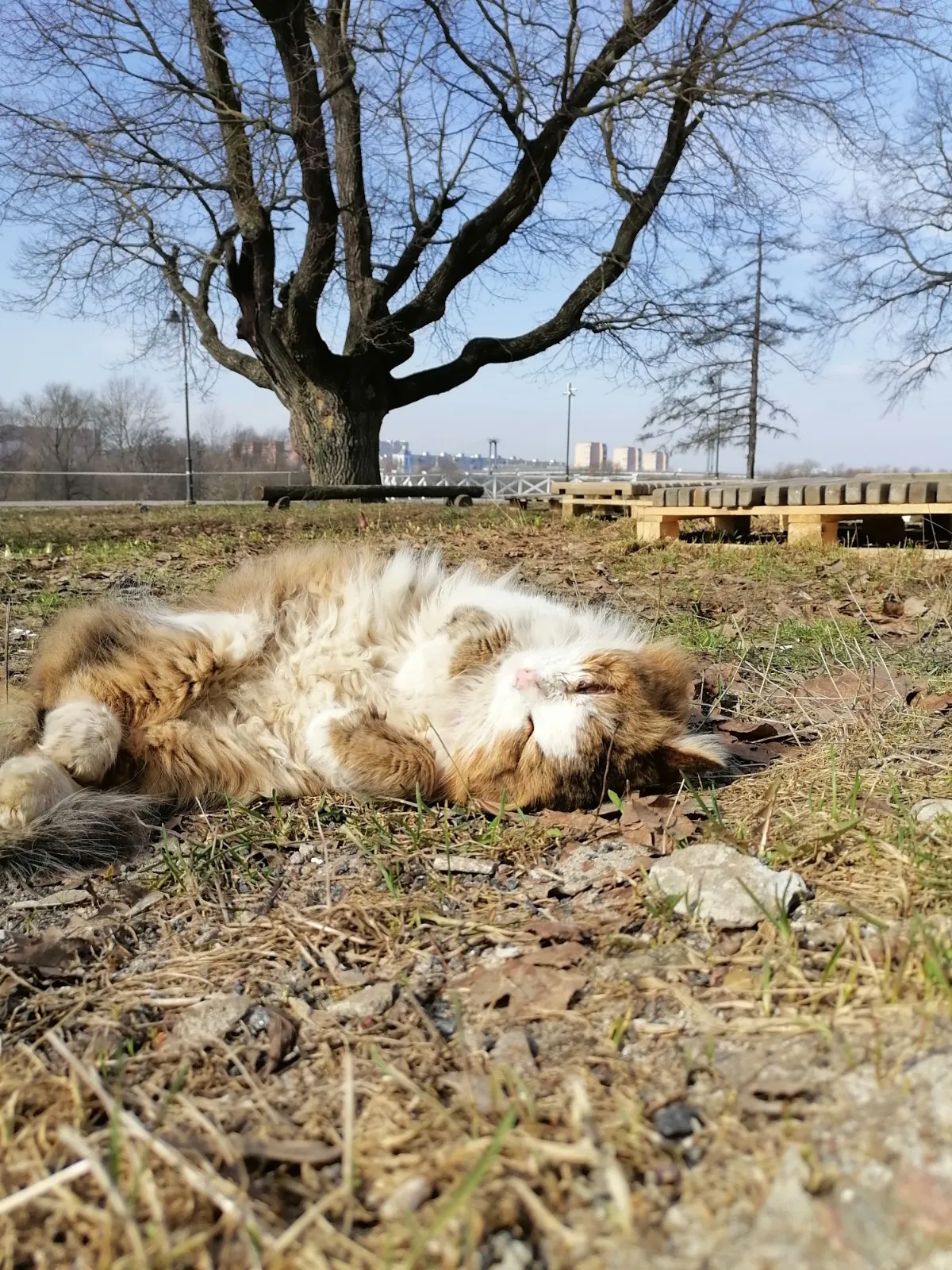 Фото: Наталья Дорофеева