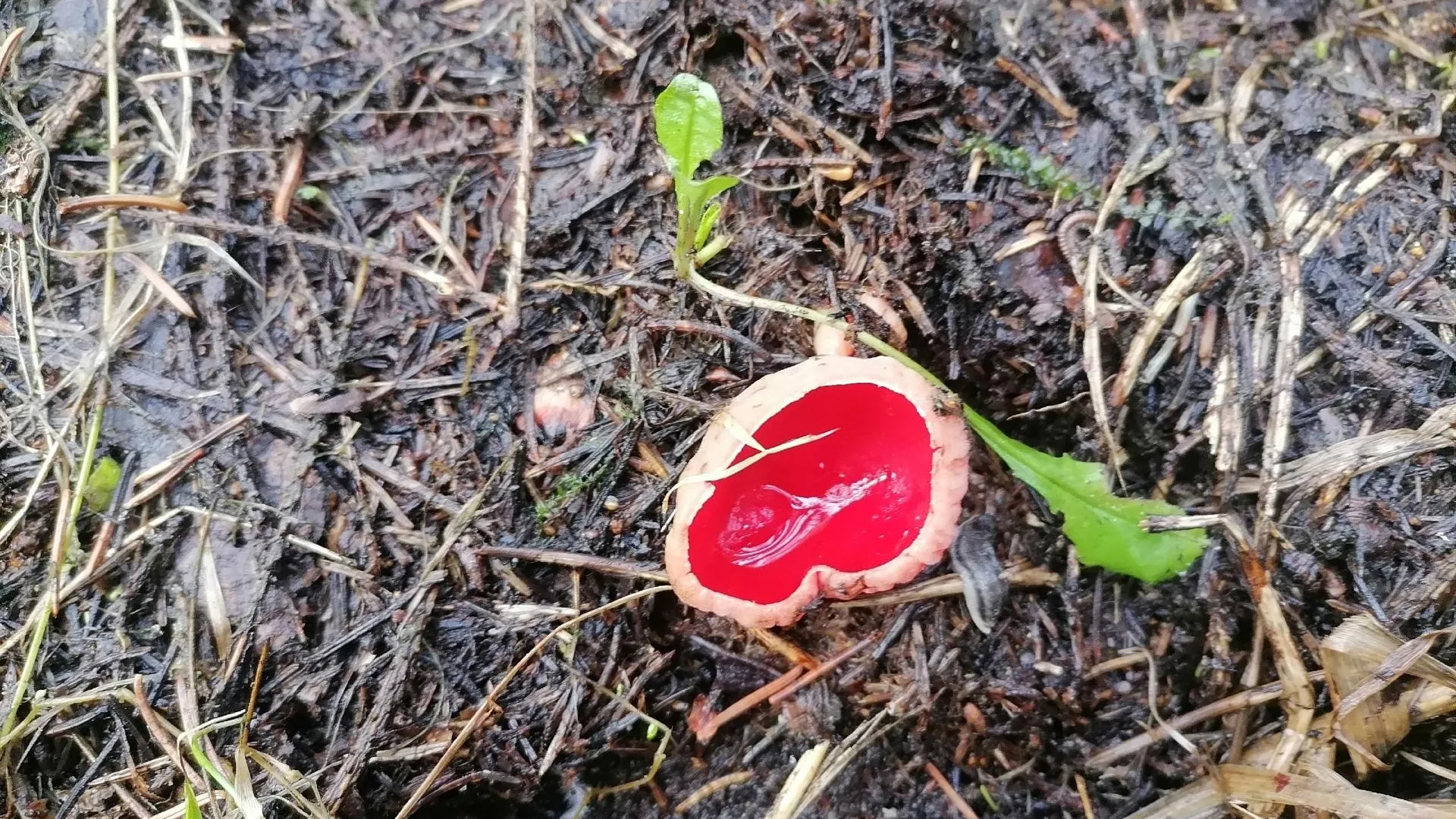 Фото: Мария Панина