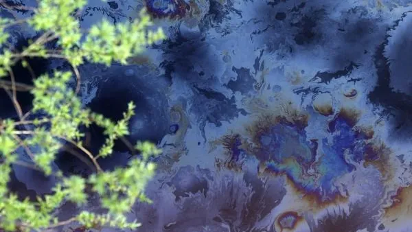 В Петербурге в реке Красненькой обнаружили нефтепродукты