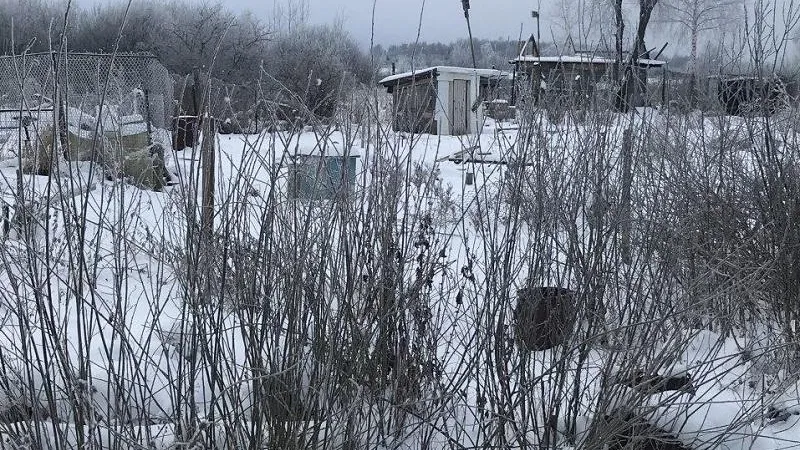 Минэкологии МО