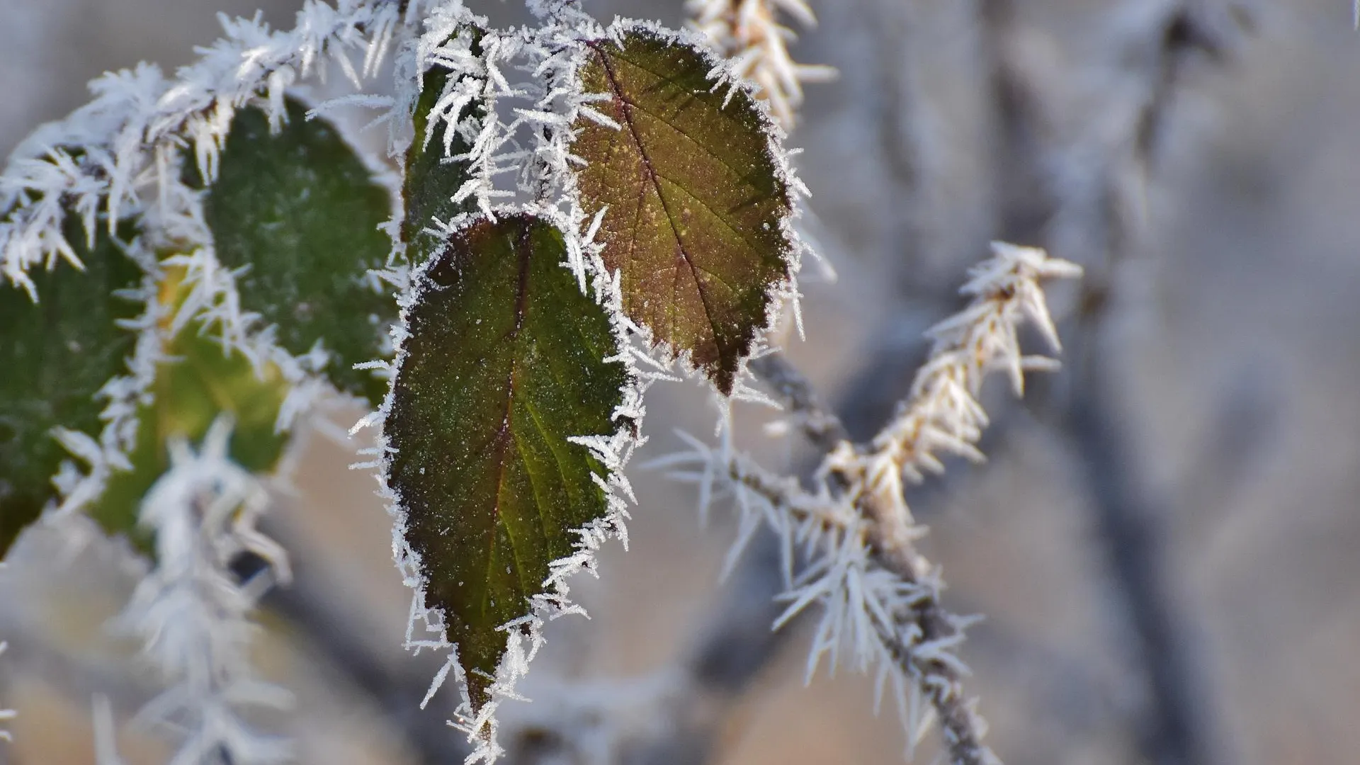 медиасток.рф