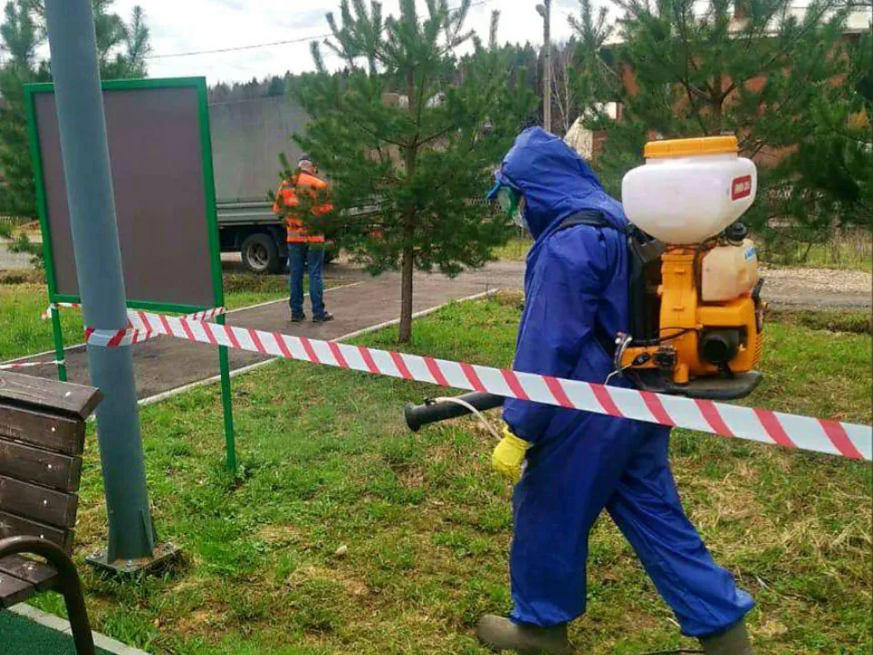 Фото: администрация г.о. Истра