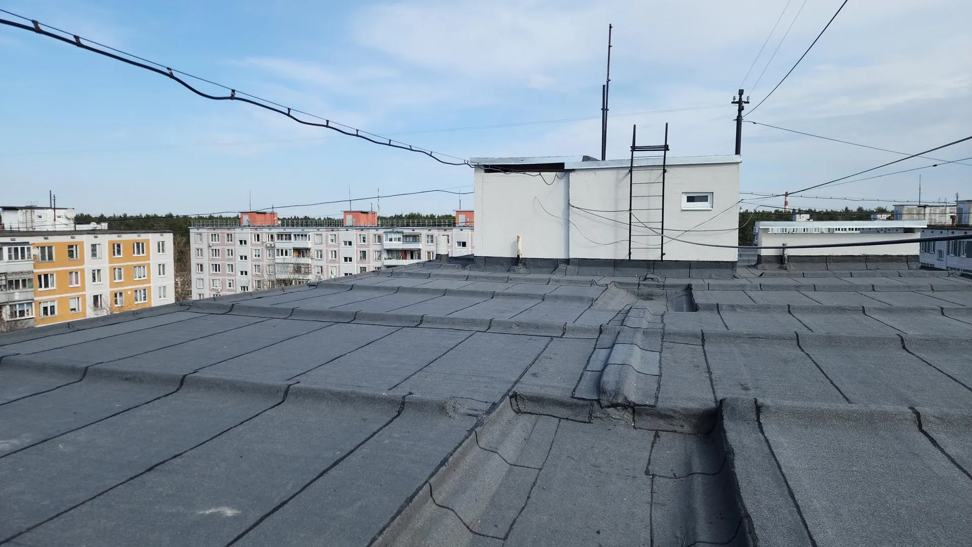 Иван Петрушин