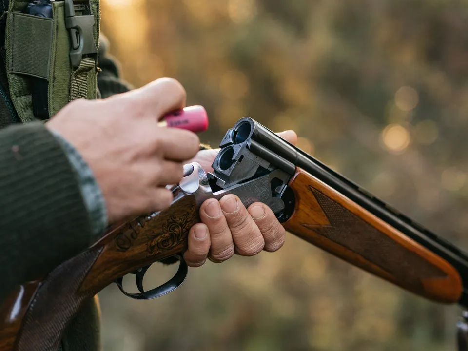 Фото: istockphoto.com/Jordi Mora Igual&nbsp;