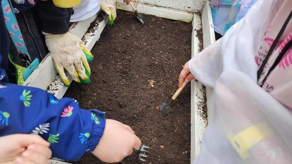 Фото: Елена Шумакова