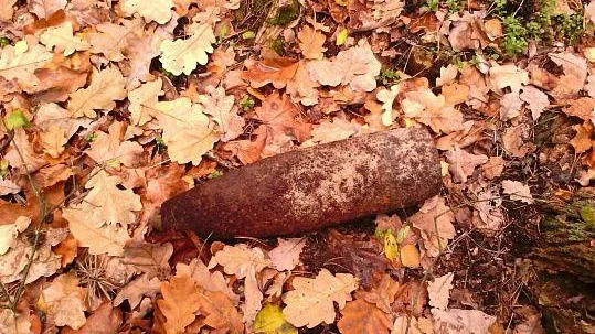 Мария Истомина и Роман Завьялов
