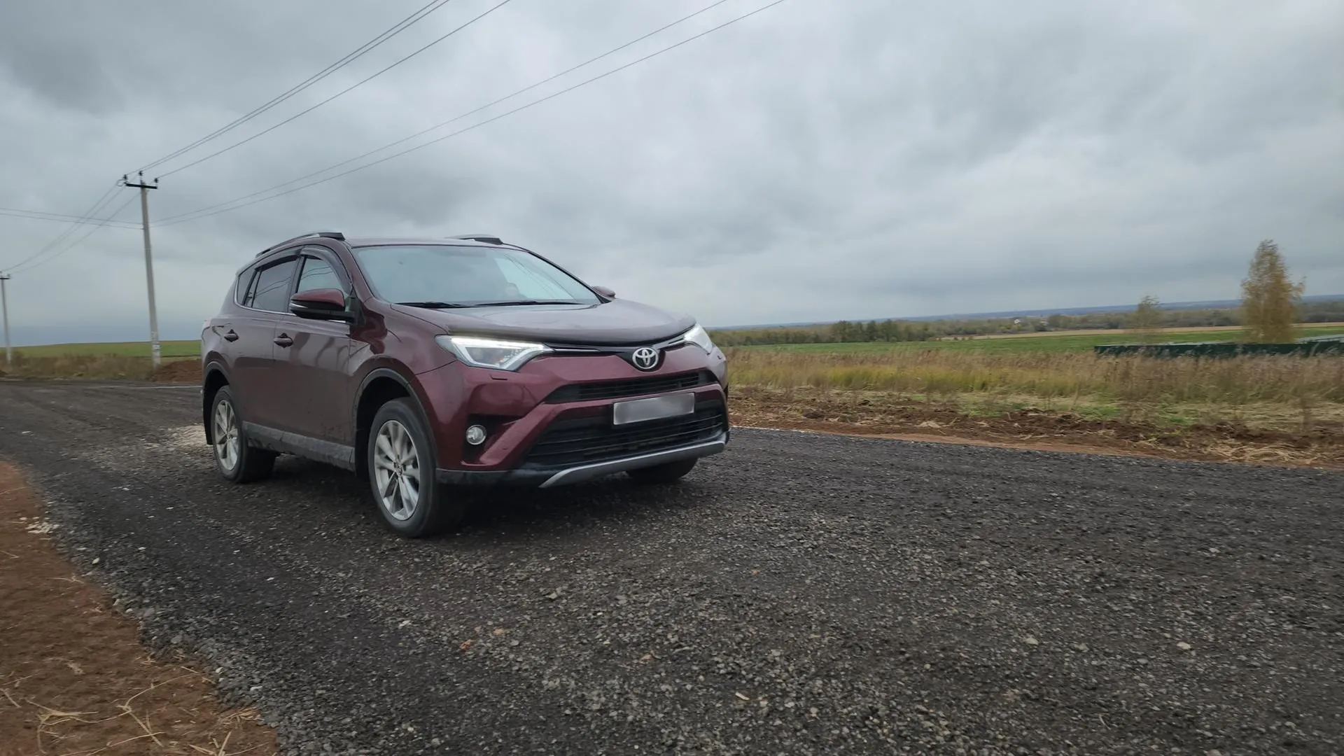 Фото: Светлана Плотникова