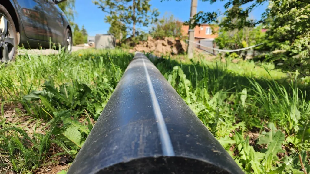 Фото: Станислав Орлов