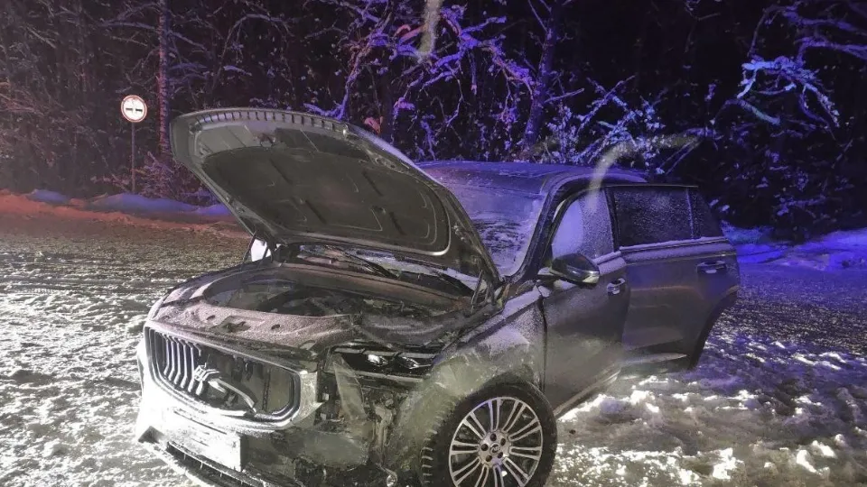 Фото: ГКУ МО «Мособлпожспас»