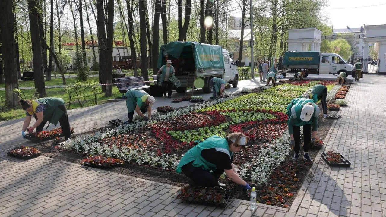Картинка