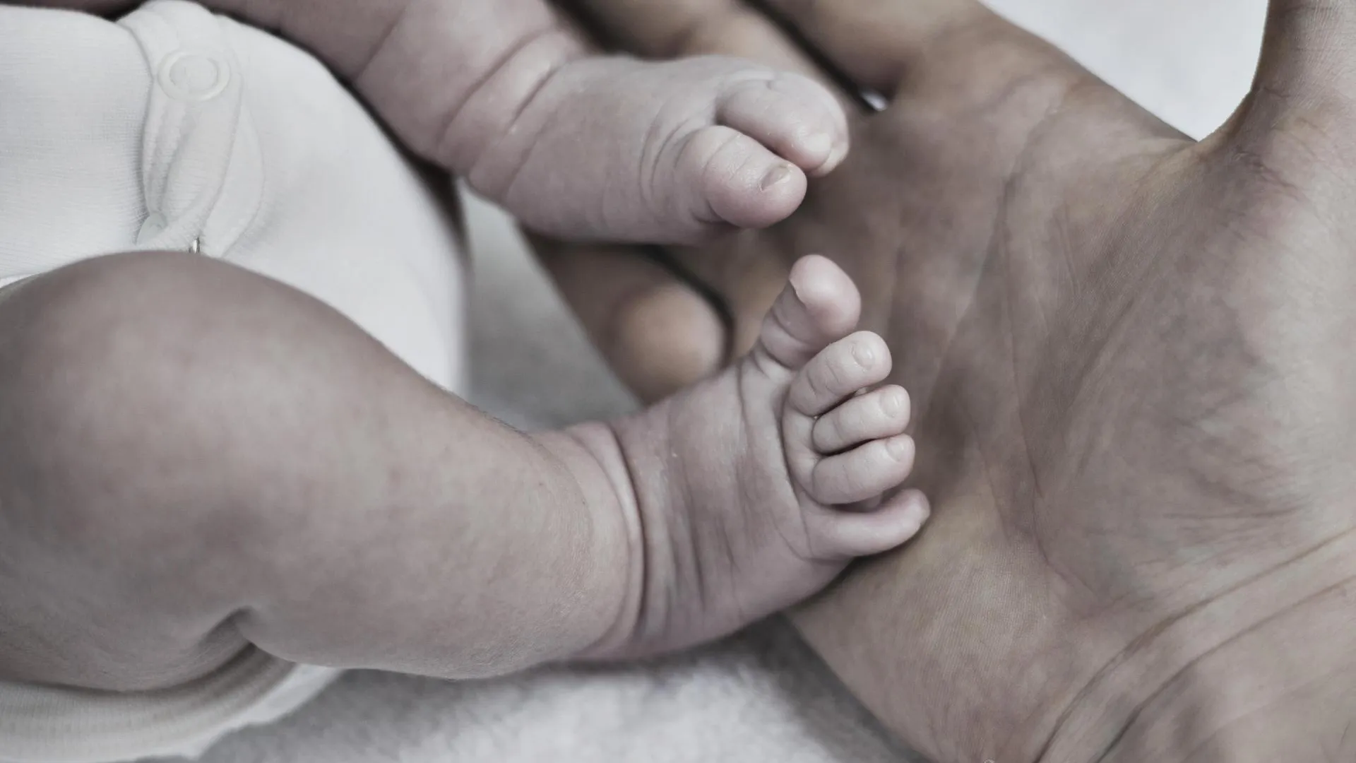 uwe umstätter/imageBROKER.com