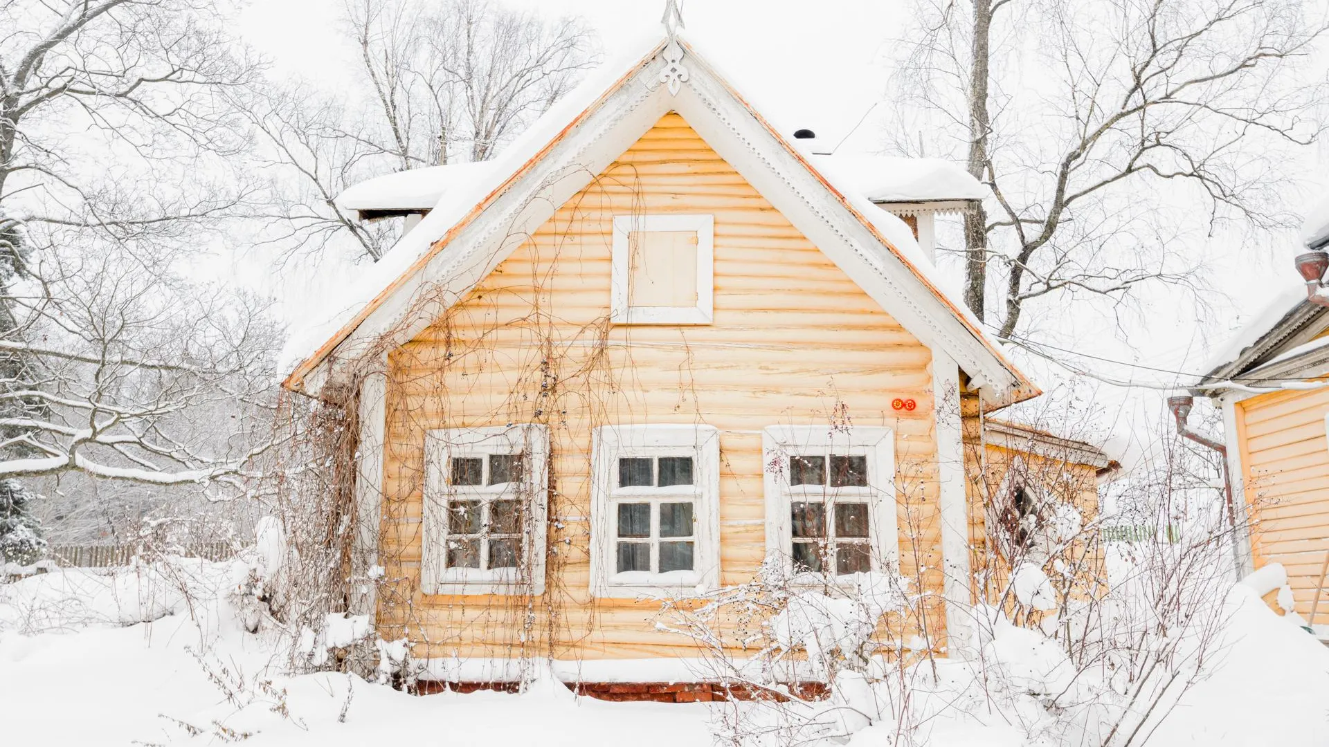 медиасток.рф