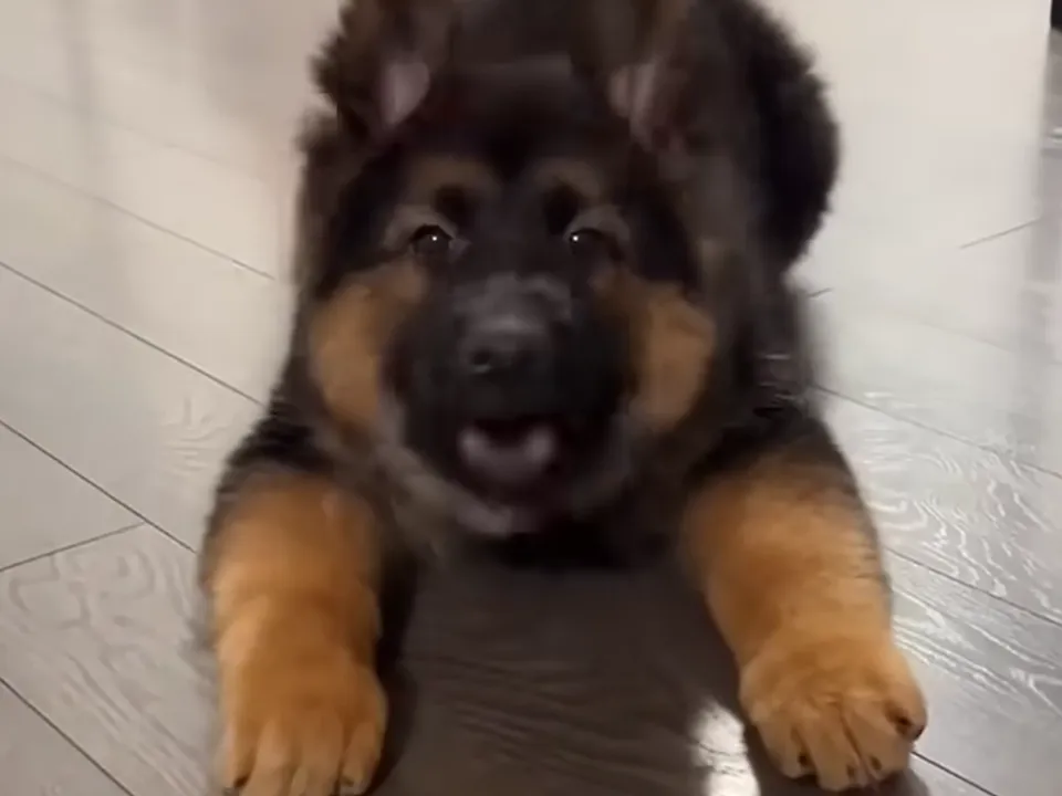 Фото: личный архив Кирилла Осипова