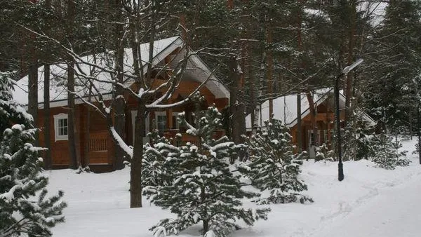 В Ленобласти вырос спрос на загородную недвижимость