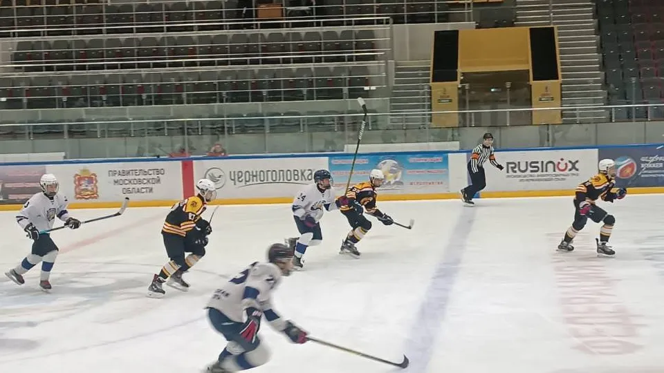 Фото: управление по физической культуре и спорту администрации г. о. Электросталь