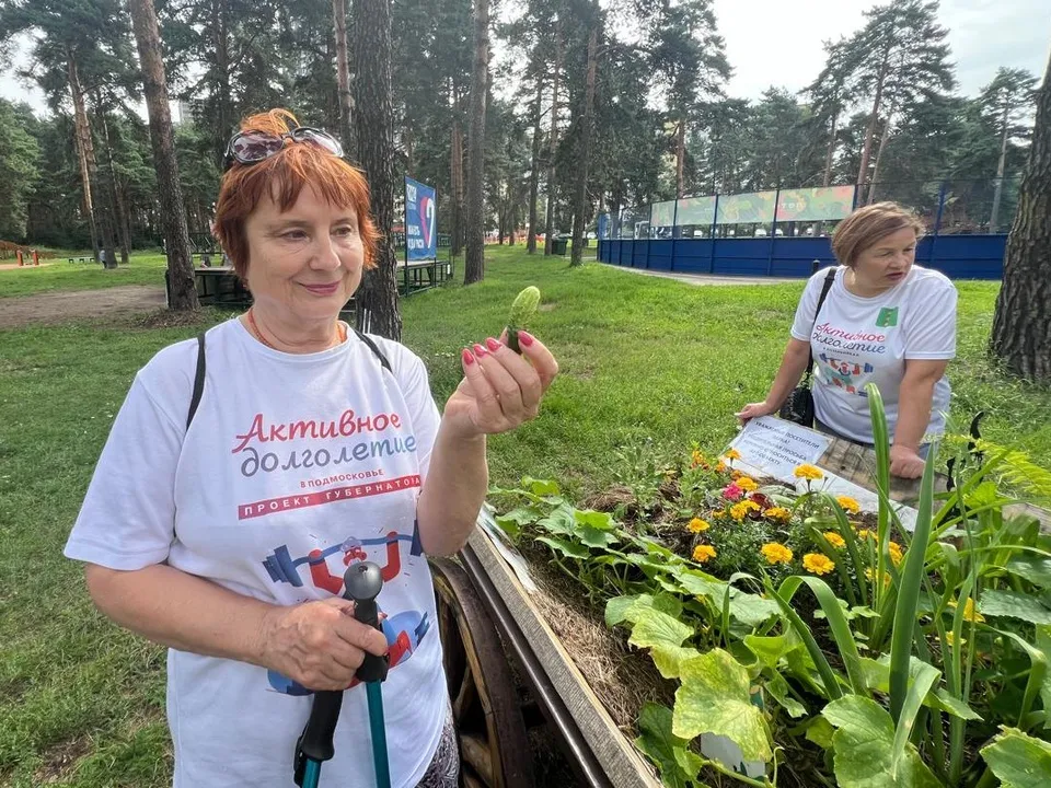 Фото: t.me/kuz_les