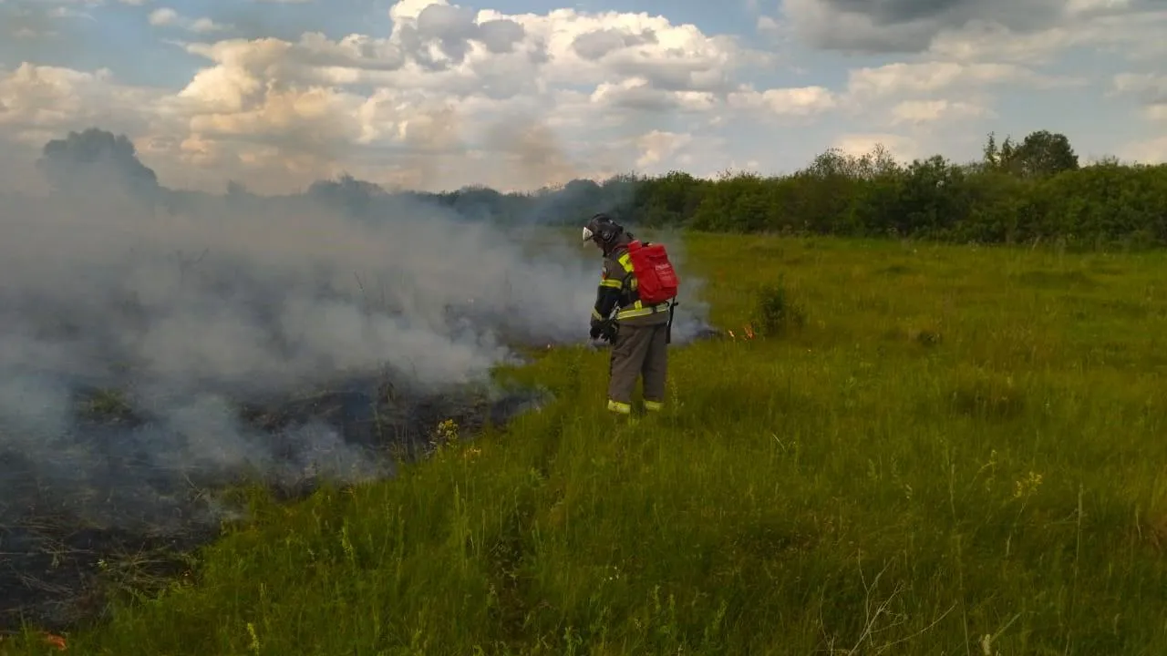 Фото: ГКУ МО «Мособлпожспас»