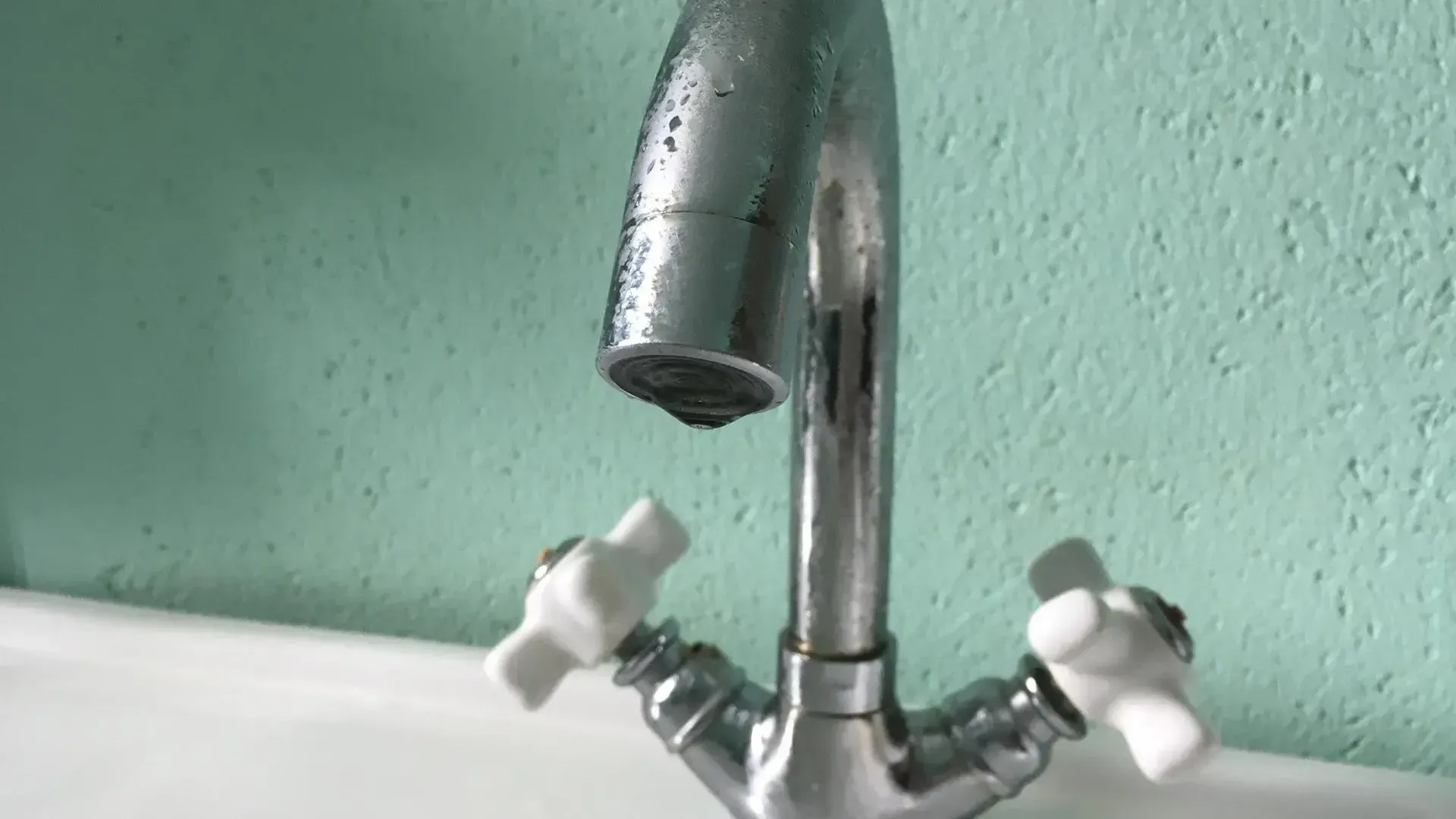 Фото: Евгений Лавряшин