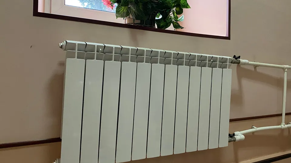 Фото: МедиаБанк Подмосковья/Екатерина Морозова