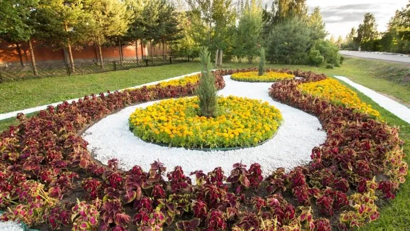 Девяносто тысяч цветов украсили Солнечногорск