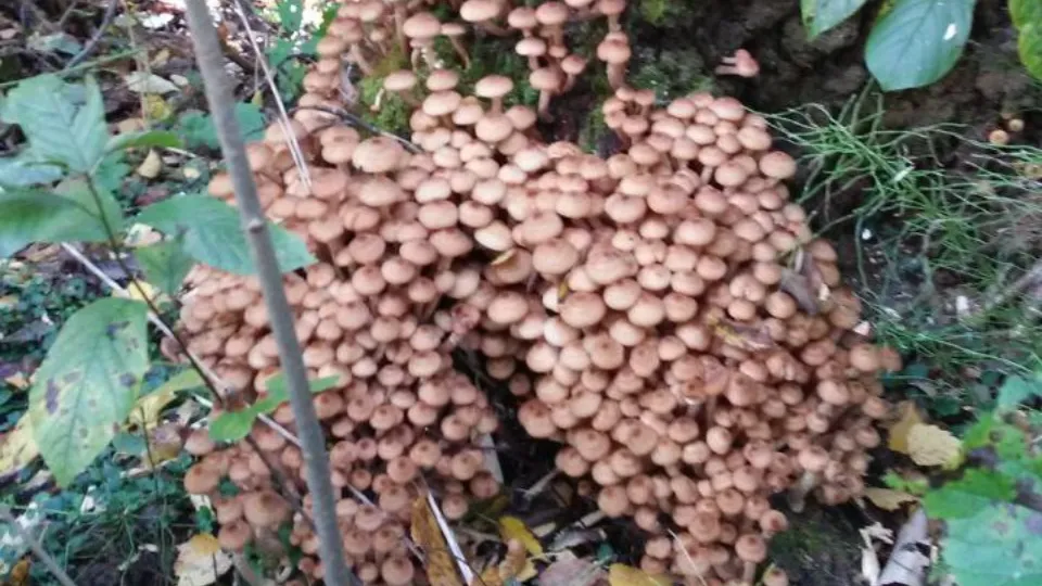 Фото: Анастасия Вознесенская