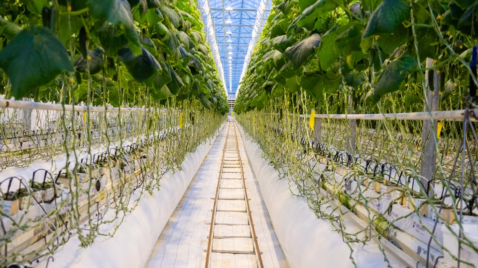 Фото: пресс-служба городского округа Кашира