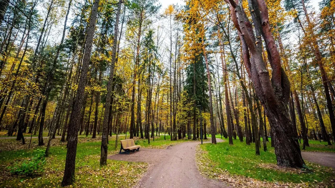 Министерство благоустройства Московской области