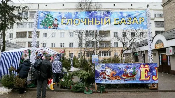 Елочные базары заработали во всех микрорайонах Сергиева Посада