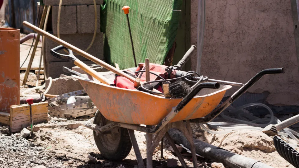 Фото: freepik.com