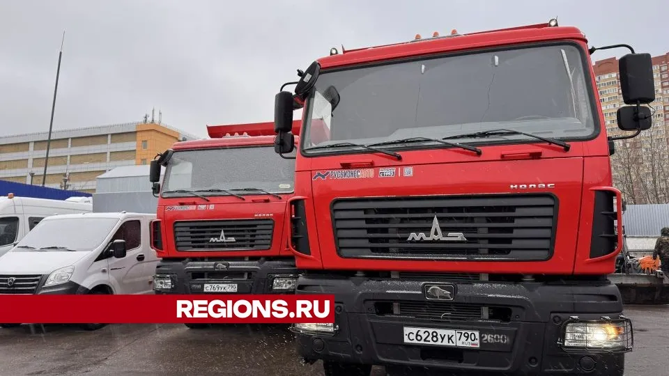 Фото: Мария Шматкова