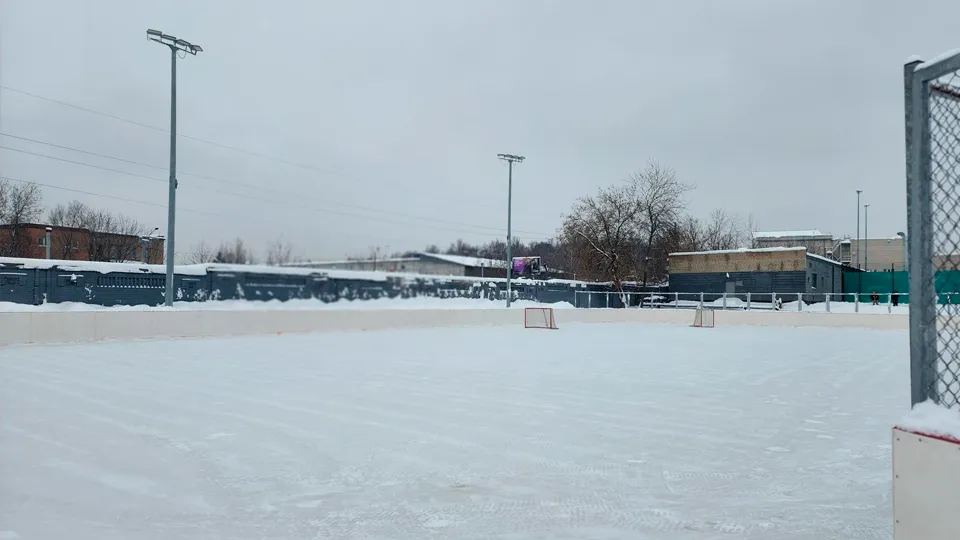 Фото: МедиаБанк Подмосковья/Роман Савельев