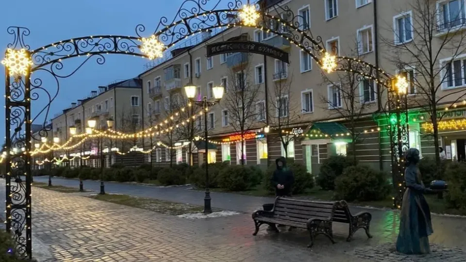 Фото: Министерство по содержанию территорий и государственному жилищному надзору МО