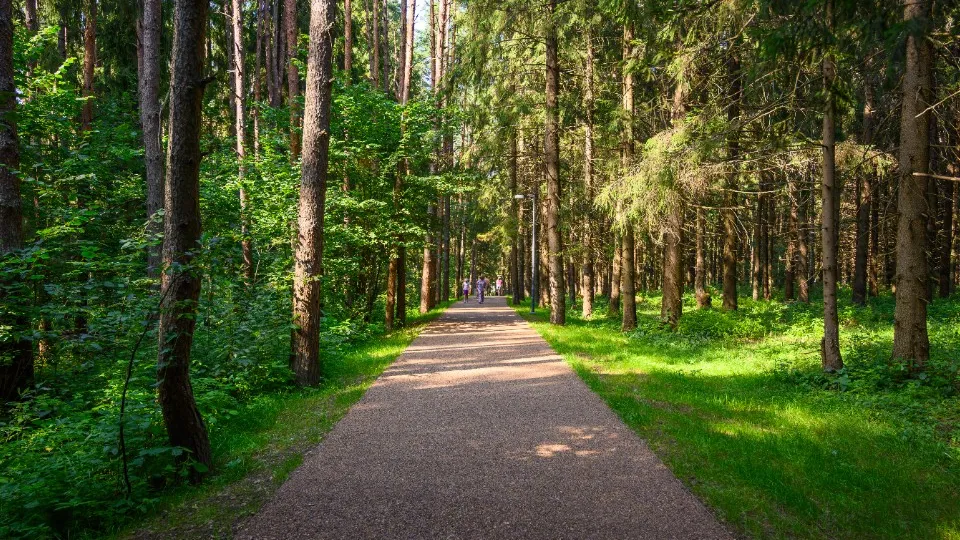 Фото: медиасток.рф