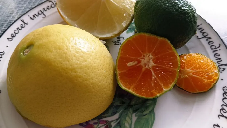 Фото: Ирина Горбачева