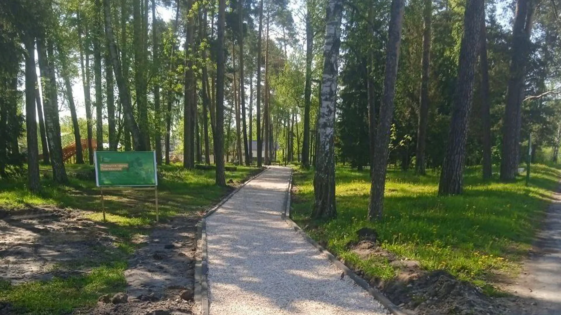 Фото: пресс-служба администрации Шатурского м.о.