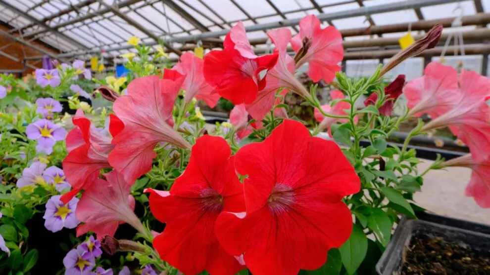 Фото: Мария Панина